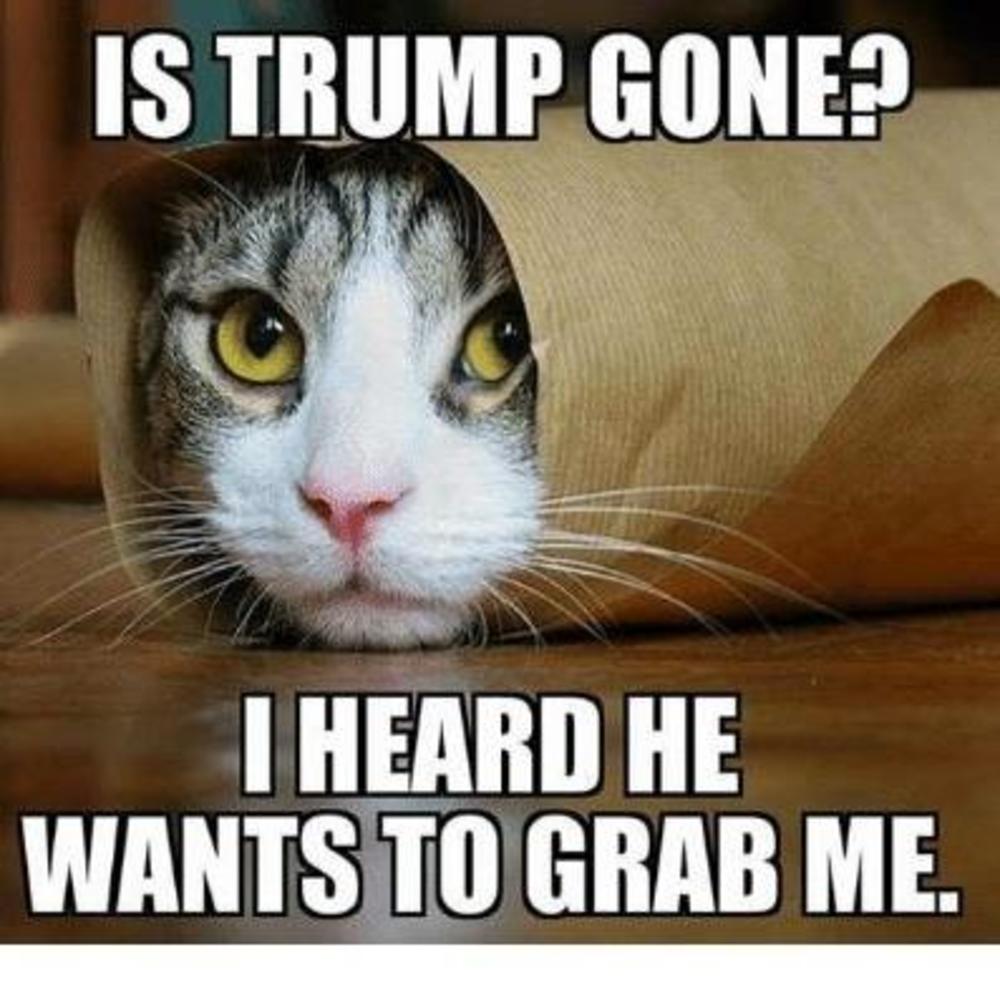 Meet your Posher, Suzanne